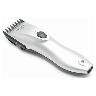 �������� ����