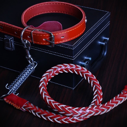 [불명] 애완견 가죽 로프목걸이