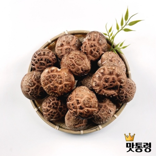 맛통령 표고버섯 경매 생 표고버섯 (1kg,1개)