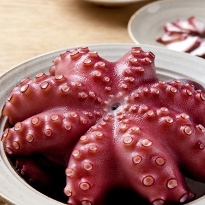 통영 자연산 활 돌문어 제수용1kg 한마리 조업