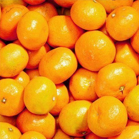 나영이네농장 맛좋은 감귤 로얄소과 2S~M 5kg (1개)