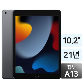 APPLE 2021 iPad 9세대