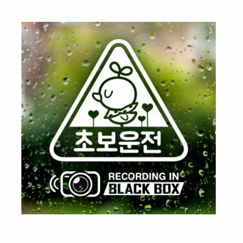 초보운전 삐약이 세모 블랙박스 세트