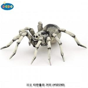 파포 타란튤라 거미 (50190)이미지입니다. 누르면 해당 게시물로 새창이동합니다.