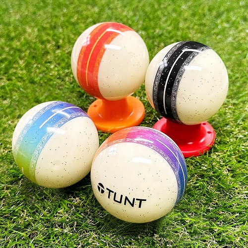 턴트골프 4피스 퍼펙트라인 파크골프공 (4개)_이미지