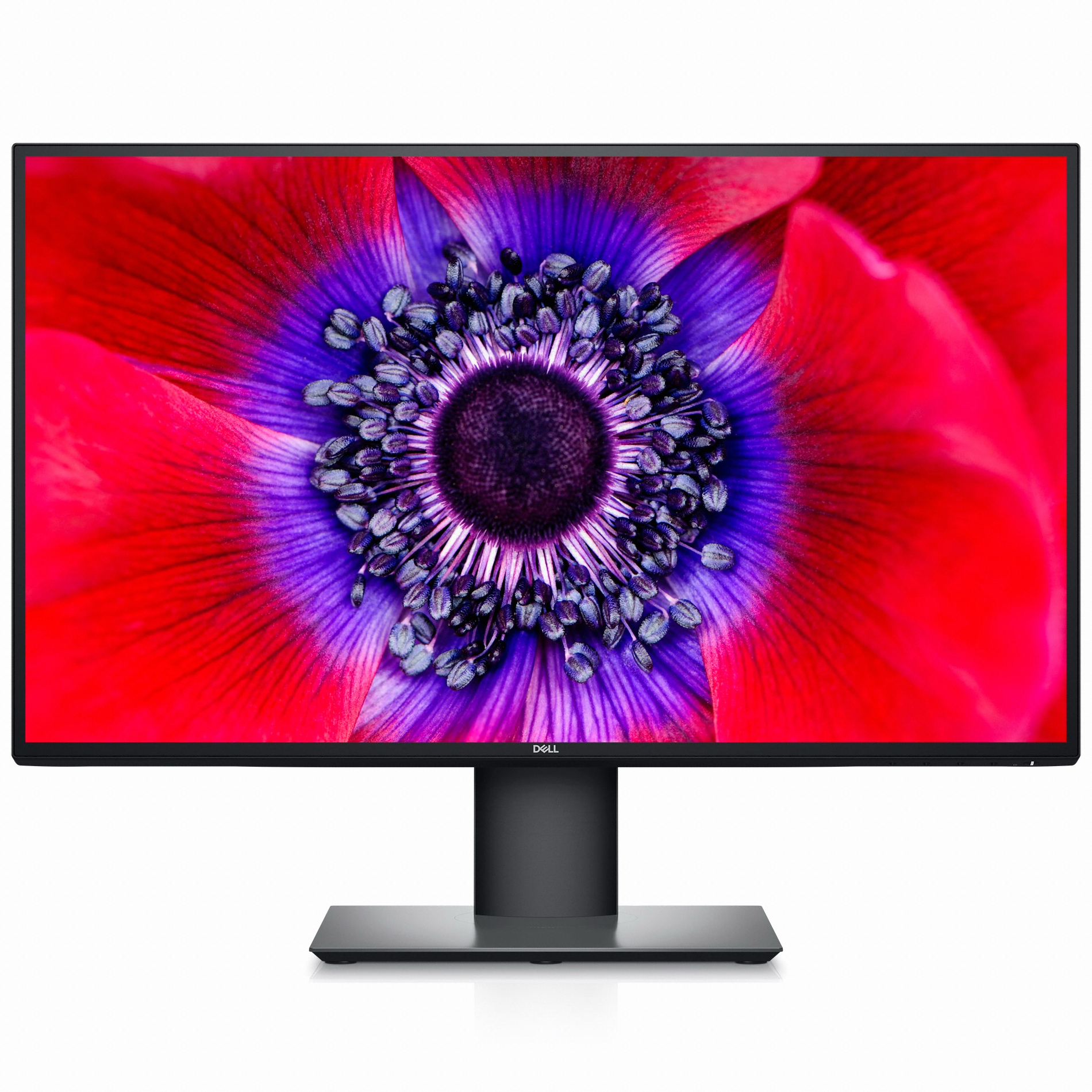 DELL UltraSharp U2520D