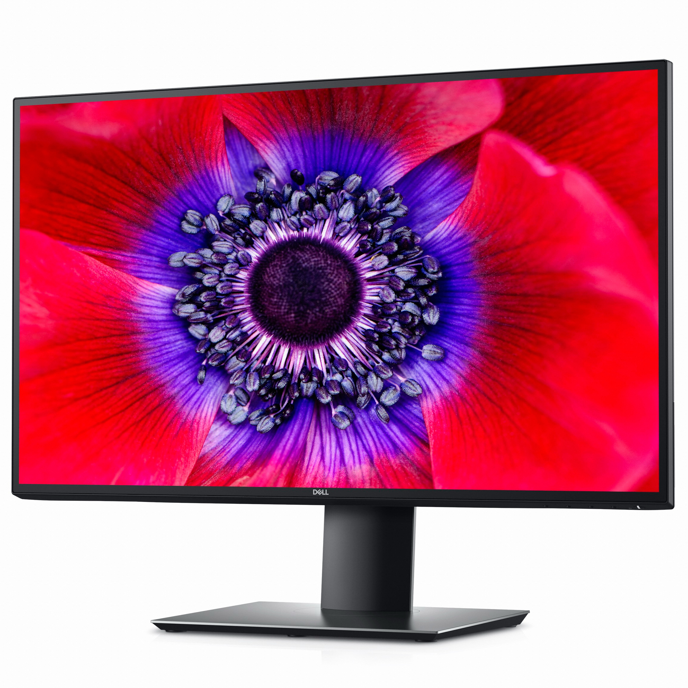 DELL UltraSharp U2520D_이미지
