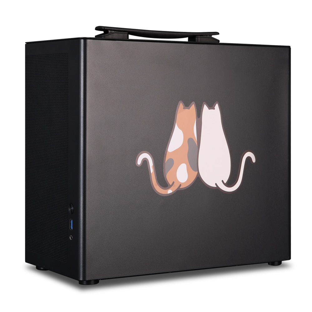 몬스타 가츠 아이언캣 (16GB, M.2 256GB)