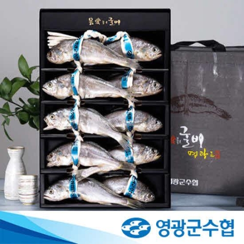 영광군수협 법성포 영광굴비 오가 0.9kg 10마리 선물세트