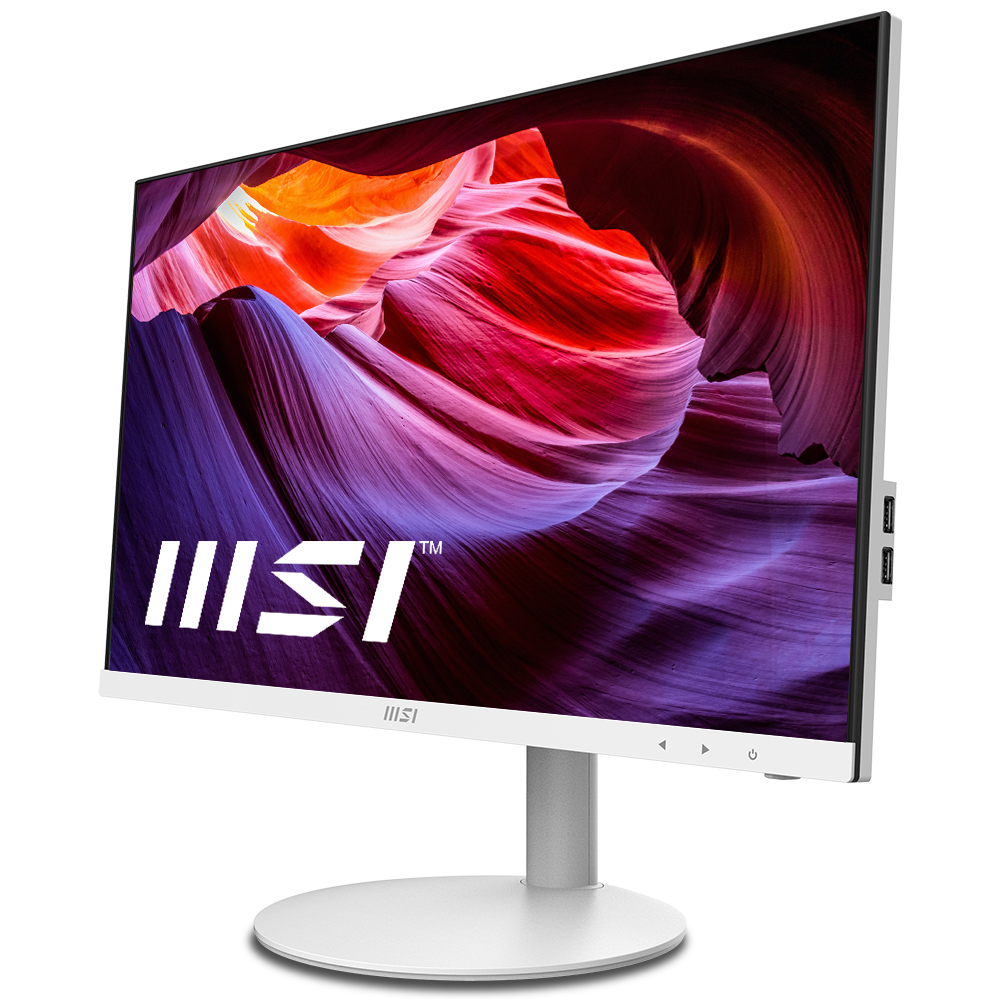 MSI PRO AP241 11M-689KR Win11 화이트 에디션 (4GB, M.2 128GB)_이미지