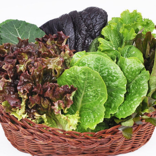 푸르젠 유기농 모듬 쌈채소(야채) 600g (1개)_이미지