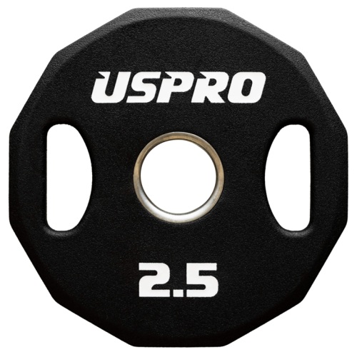 씨앤케이 USPPRO 우레탄 12각 중량 원판 (2.5kg, 2개)_이미지