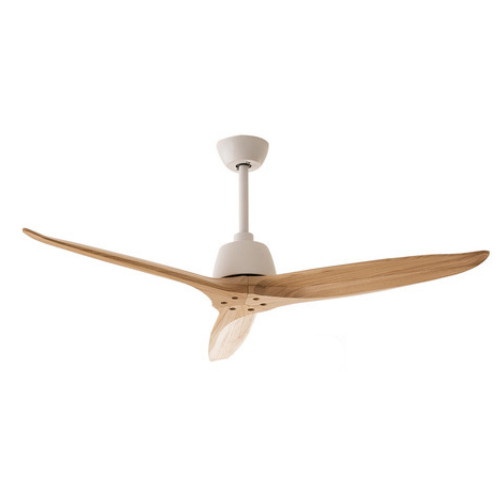 켈리 우드 SCF-56K001