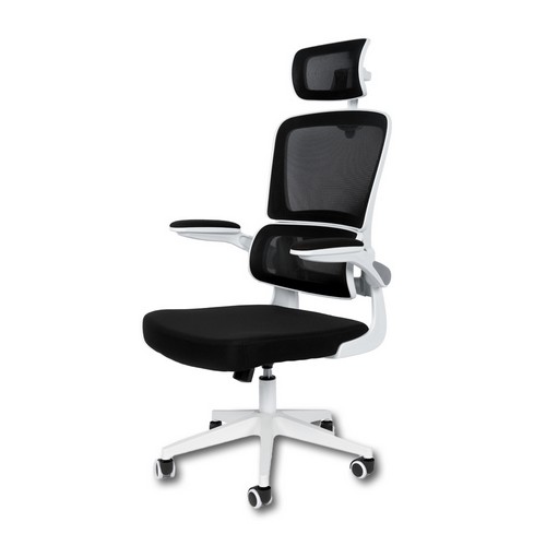 ��ī���� ���� �޽��� ���� ƿ�ñ�� �㸮��ħ 3D ���ħ ����