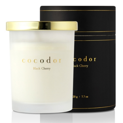 ���ڵ��� ����ĵ�� �̵���� 220g