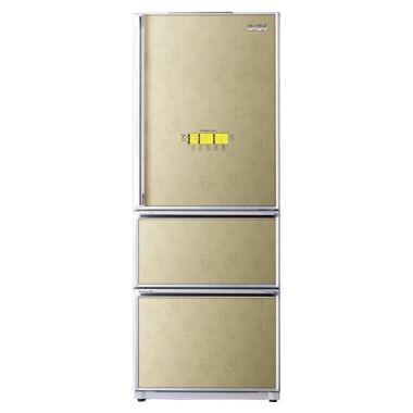 LG전자 디오스 R-D304PG_이미지