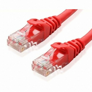 엘디네트웍스 Anyport CAT.6 UTP 다이렉트 케이블 레드 (AP-6UTP-10M(R), 10m)