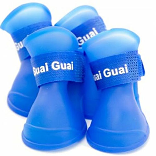 ���꺣 ��ĵ���÷� ���ؽ� ���κ��� ����