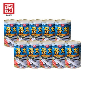 한성기업 한성기업 꽁치 300g (10개)