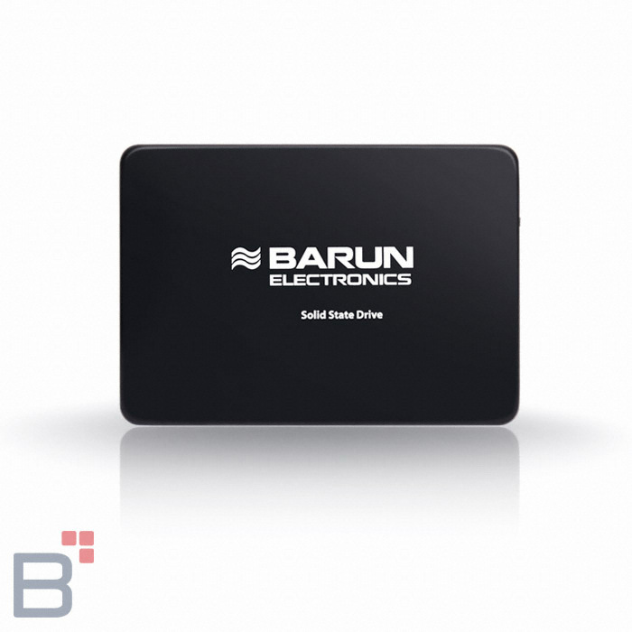 바른전자 BSS300 (256GB)_이미지