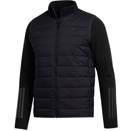 �Ƶ�ٽ� �Ƶ�ٽ����� ���ο� �����ٿ� ���� FS6435