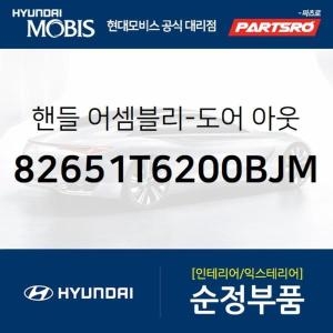  제네시스 현대모비스 뒷문 외부 손잡이 외캐치 도어캐치 운전석쪽 82651T6200BJM GV70 현대모비스부품몰