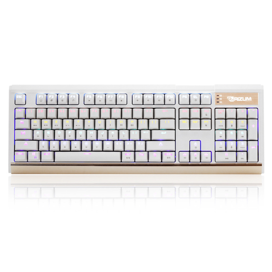 RIZUM G-FACTOR Z10 MECHANICAL ���κ��� ���̹�Ű����