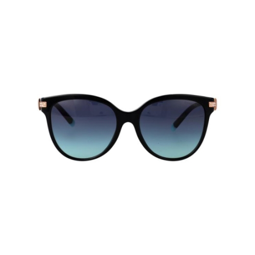 티파니앤코 선글라스 0TF4193B 80019S black_이미지