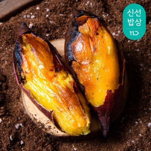 금호농장 24년산 해남 꿀밤고구마 특상 10kg