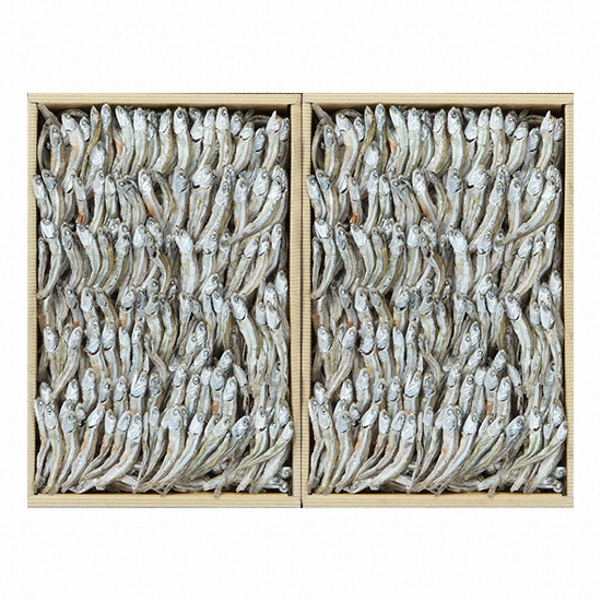 통영특산품 중멸치 1.5kg