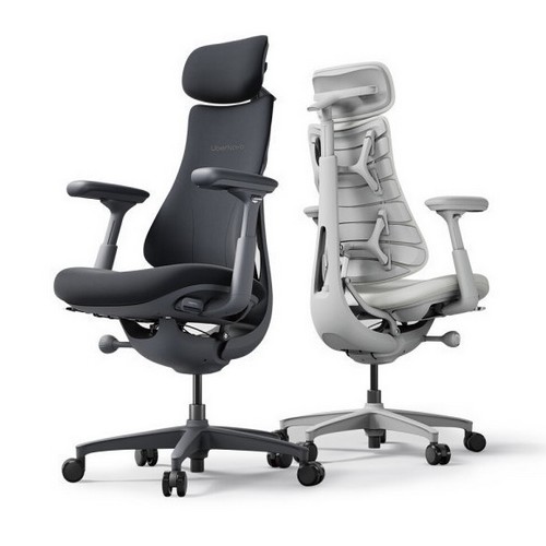 리버노보 다이나믹 인체공학 의자 (1개, 풋레스트별도)