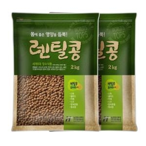 현대농산 갈색렌틸콩 2kg (2개)_이미지