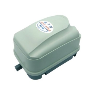 필그린 브로와 20w  PD 20_이미지