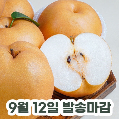 농부마음 가정용 나주배 신고배 3kg 4-9과 9/12일 마감이미지입니다. 누르면 해당 게시물로 새창이동합니다.
