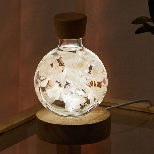 ����Ʈ LED �ɱ� �ö�� �����