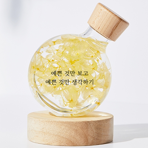 ����Ʈ LED �ɱ� �ö�� �����