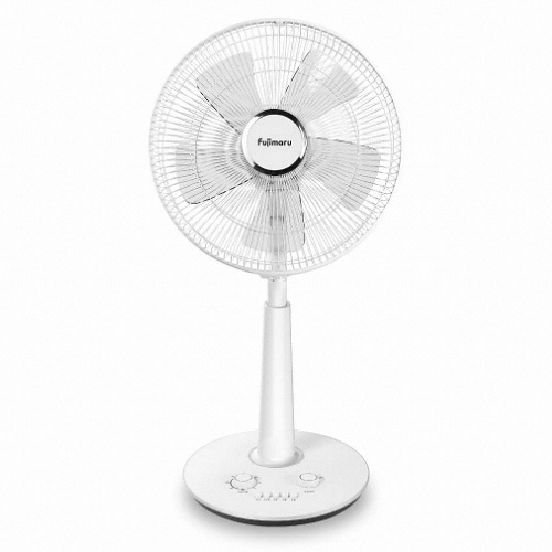 ���� �������� FJ-CDS35