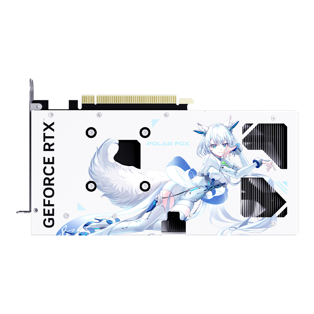 MANLI 지포스 RTX 5050 Polar Fox OC D6 8GB 대원씨티에스_이미지