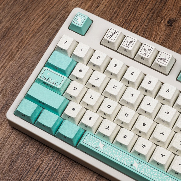 ��Ÿ ����û�� �ѱ� �ƹ����� Űĸ