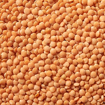 현대농산 레드 <b>렌틸</b><b>콩</b> 2kg