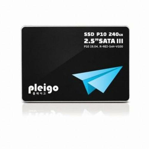 Axxen Pleigo P10 (480GB)_이미지