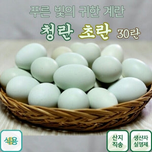 금강초계 청란 초란 방사유정란 30구 (1개)_이미지