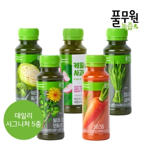 풀무원녹즙 데일리프로그램 시그니처 20회 월-금 4주