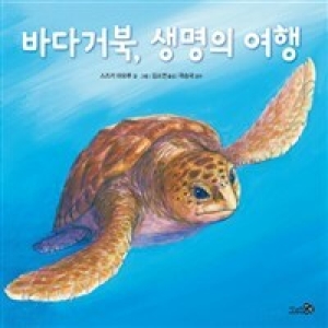 천개의바람 바다거북, 생명의 여행