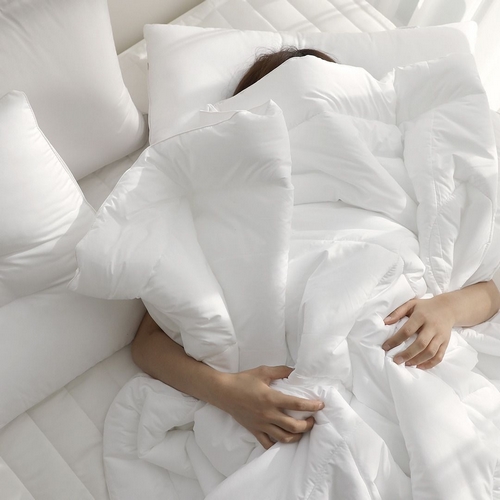 파르페 3M 신슐레이트 이불솜 (퀸 Q)_이미지