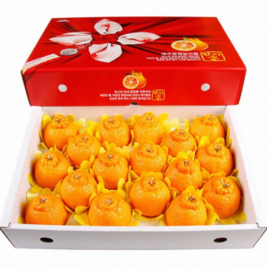 올찬농산 제주 한라봉 대 15~18개(과) 5kg (1개)_이미지