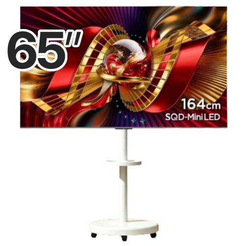 TCL 65C8L 이동형 패키지