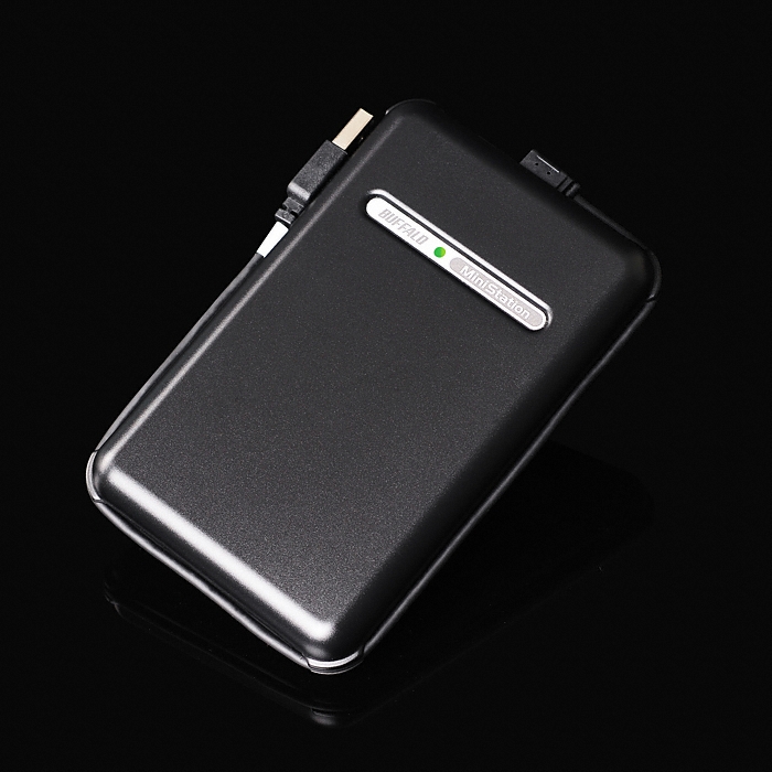 BUFFALO MiniStation HD-PFU2 블랙 (120GB)_이미지