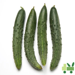 사라상회 취청오이 상 10kg_이미지