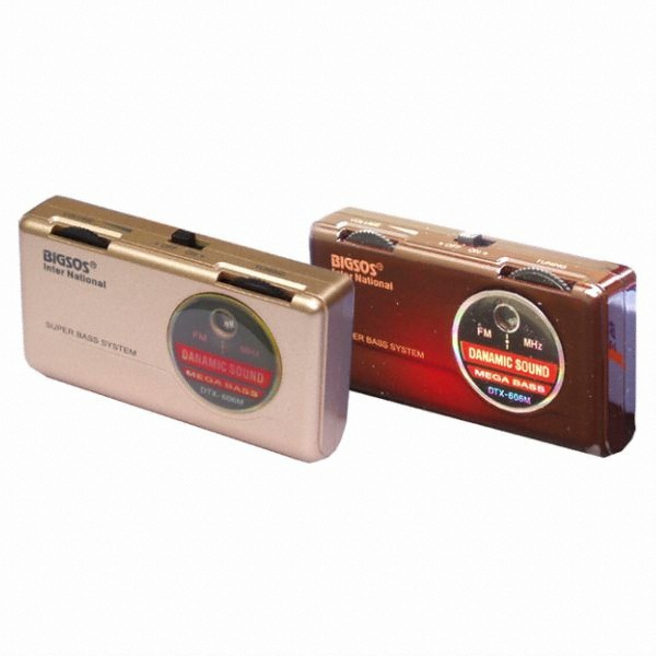대흥전자 DTX-606